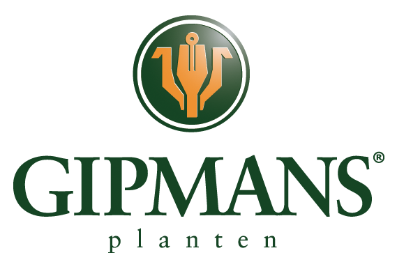 3d16c7a0d5cea22ae73a26578127df2234d14a58